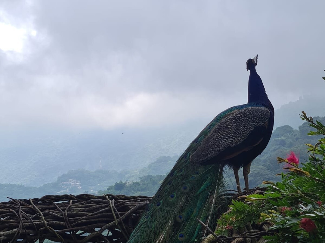 Reserva Natural Tierra Adentro Country House主图