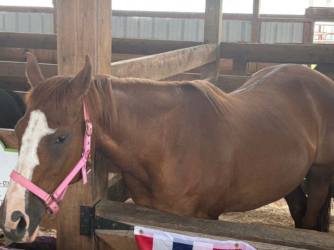 Old McDonald's Farm-Sackets Harbor必去景点