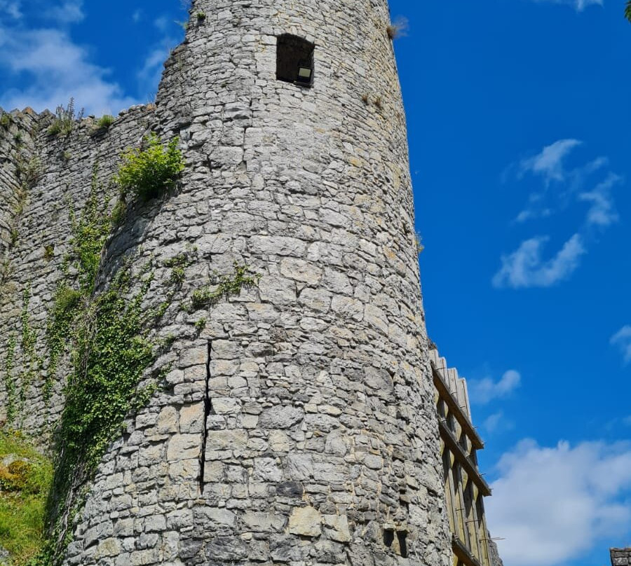Les ruines du Chateau Fort de Montaigle景点图片