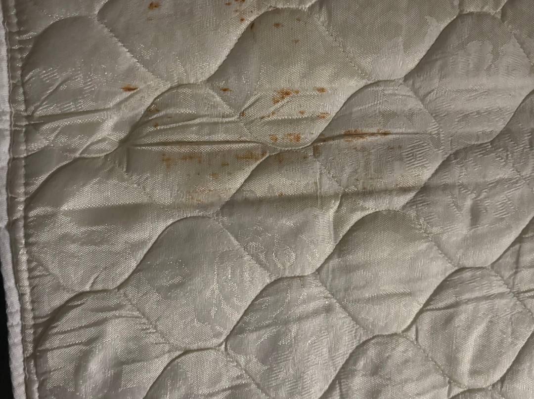 Comfort Suites主图