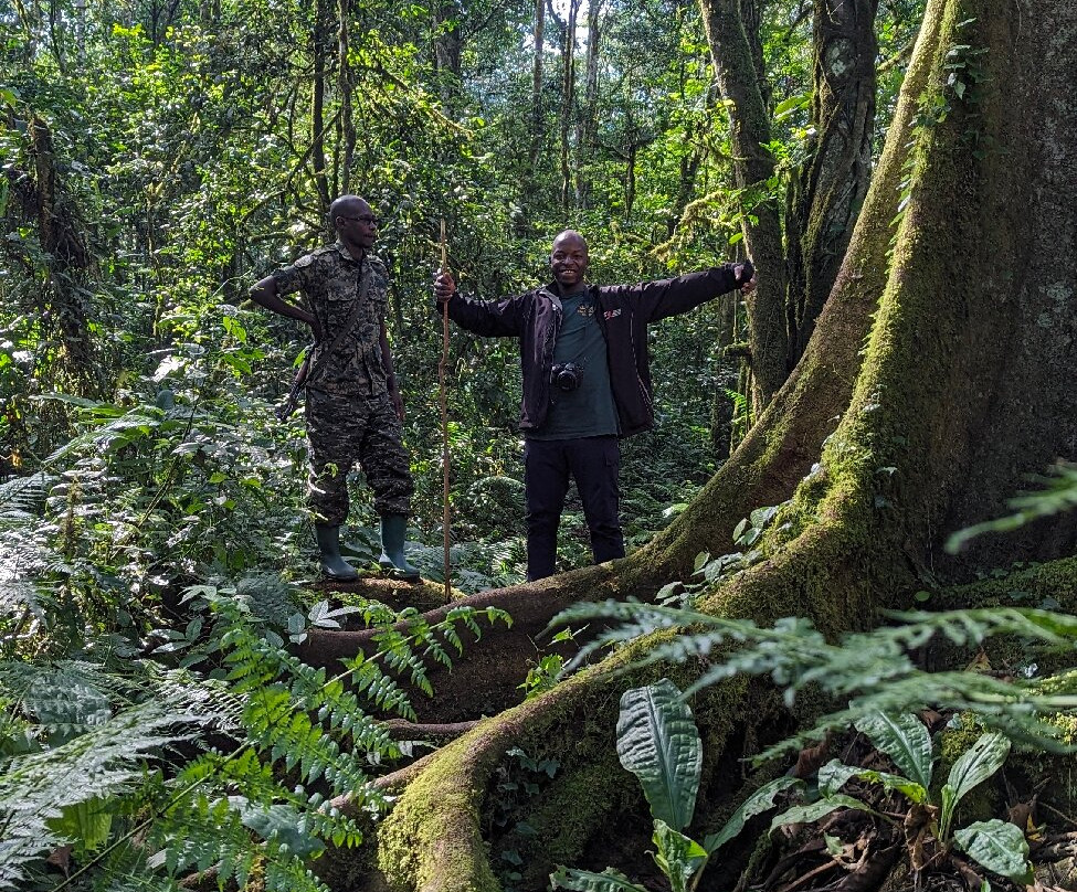 Kalinzu Central Forest Reserve-Bushenyi必去景点