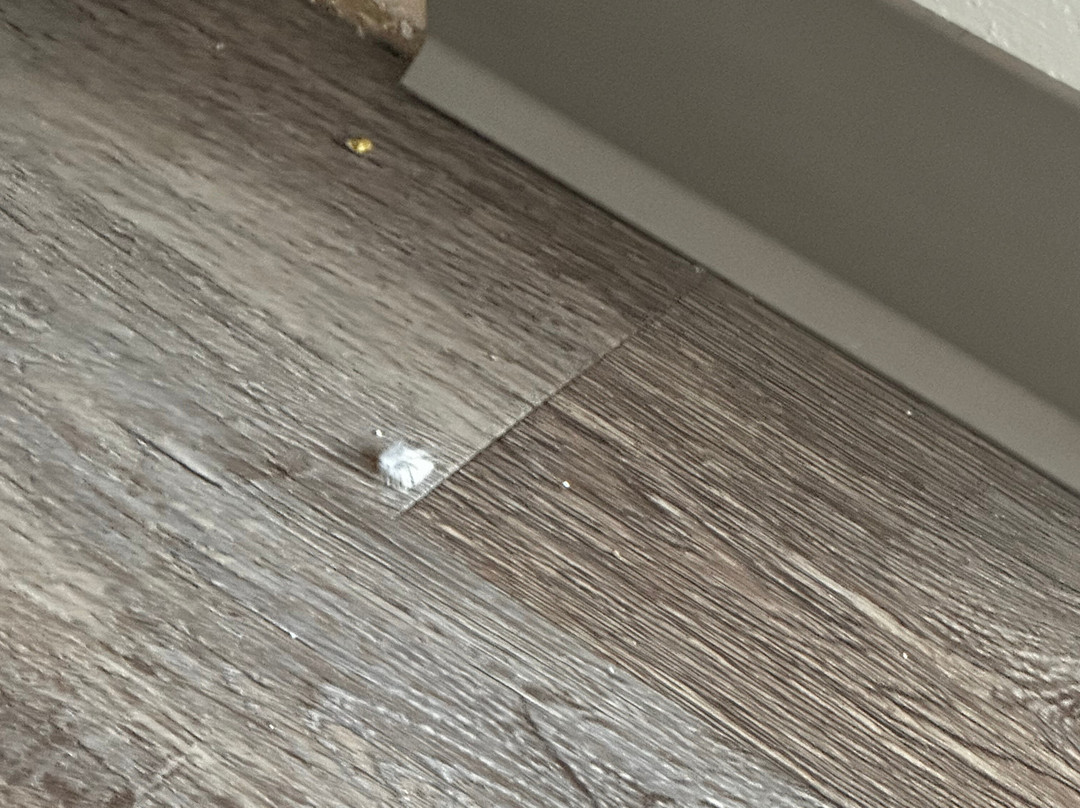 Hi-Lo Motel & RV Park主图