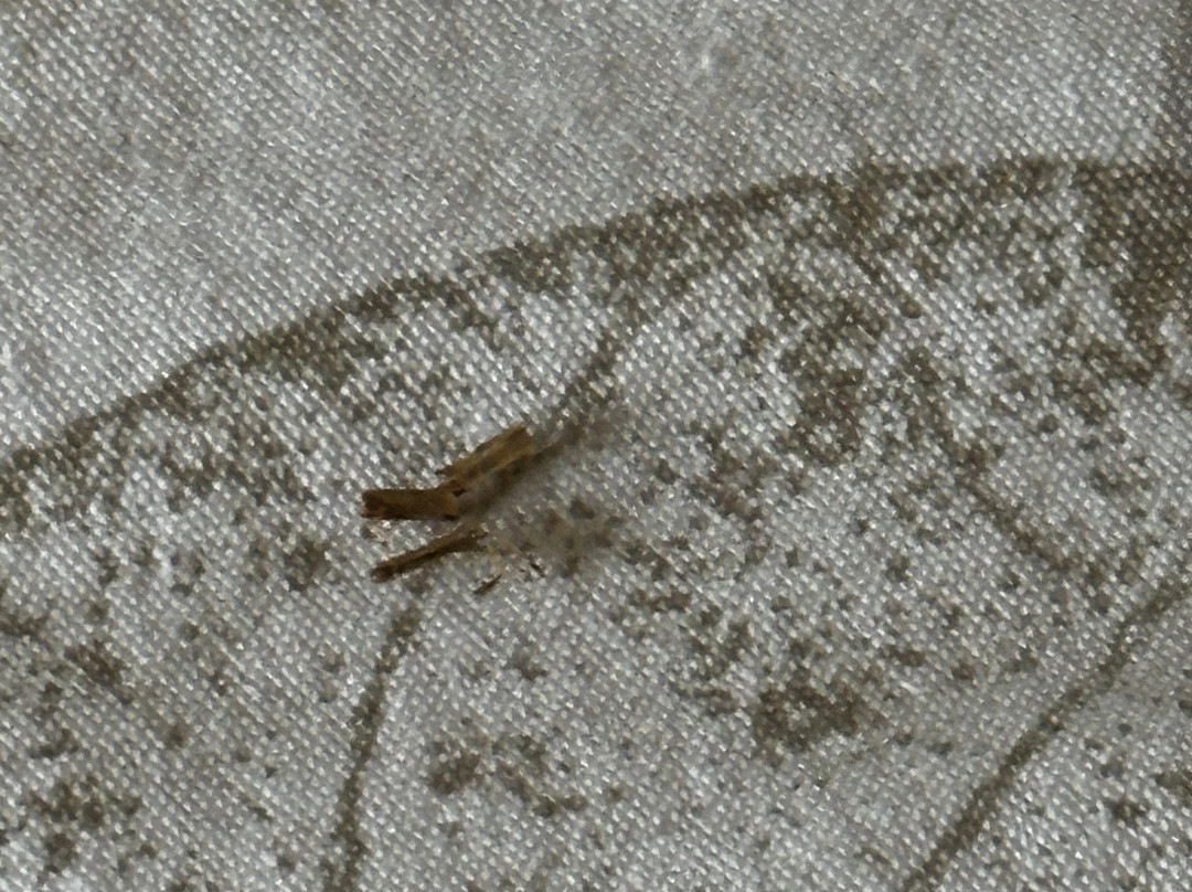 Hi-Lo Motel & RV Park主图