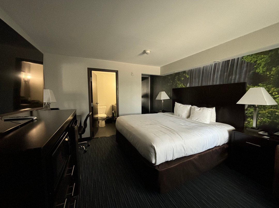 Clarion Pointe Downtown主图