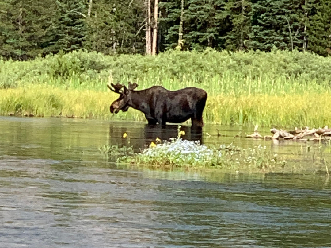 Mack`s Inn Float Trip and Rentals-艾兰帕克必去景点
