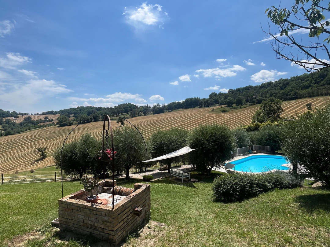 Podere del Fagiano主图