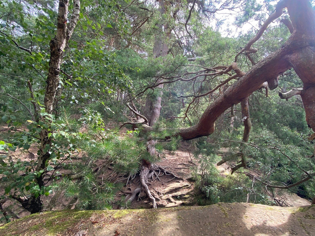 Katzensteine-Mechernich必去景点