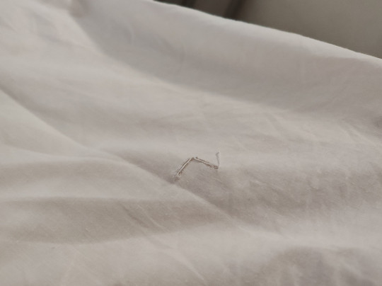 Thalassies Nouveau主图