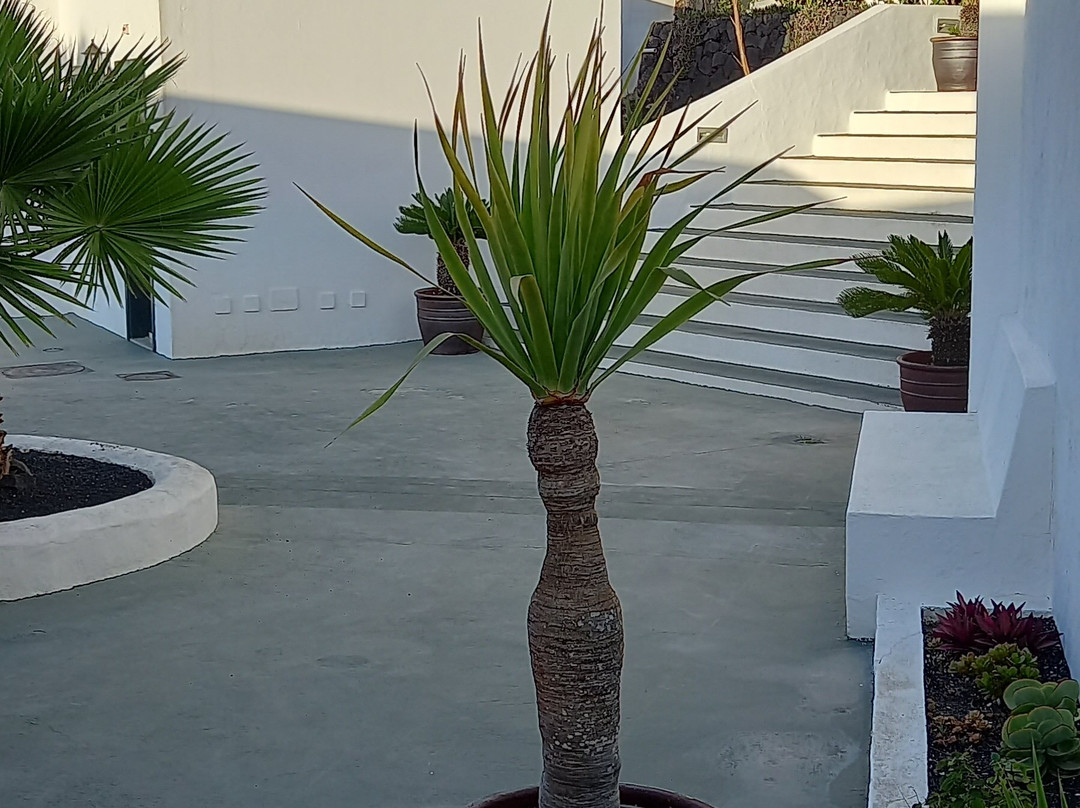 Hotel Finca De La Florida主图