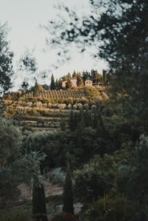 Villa Bordoni主图