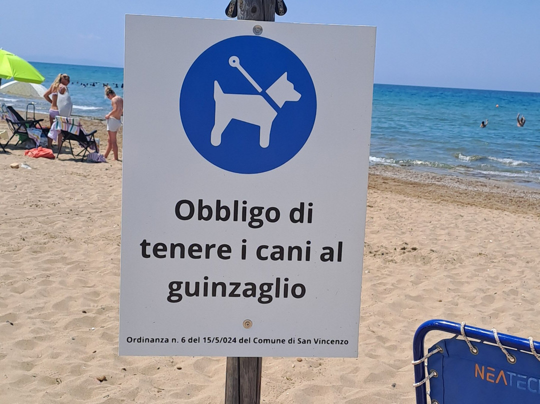 Dog Beach San Vincenzo景点图片