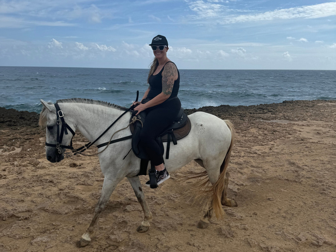 ArubaHorseTour-Paradera必去景点