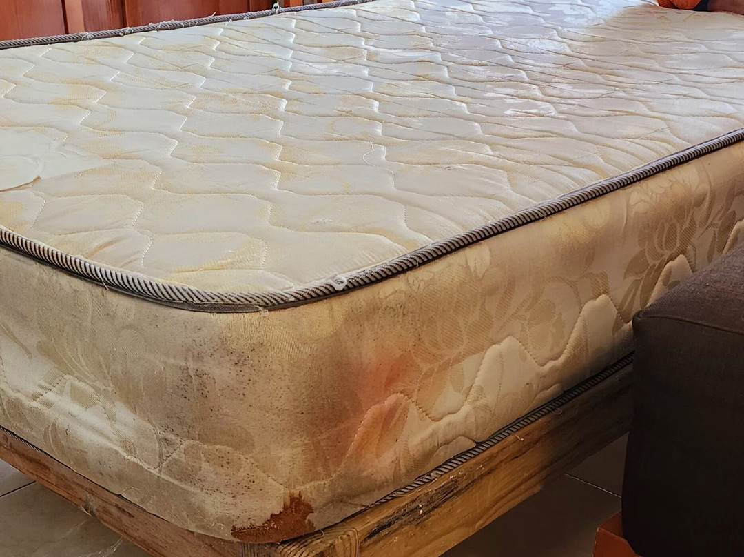 Marien Puerto Plata主图