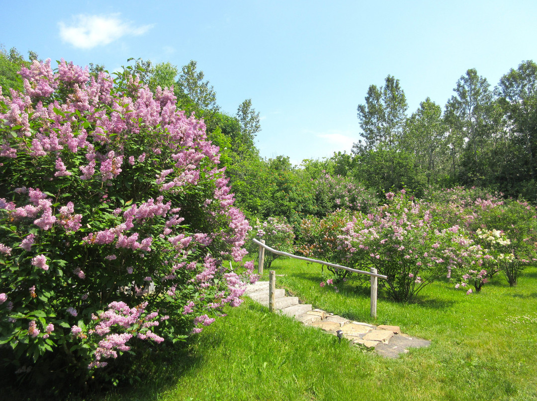 Les Jardins du Cap à l'Aigle-拉马尔拜必去景点