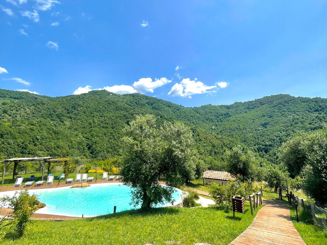 Azienda Agricola Piano di Andrea主图