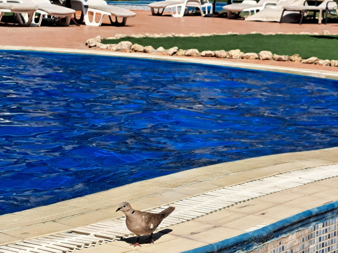 科威特慕文匹克酒店主图