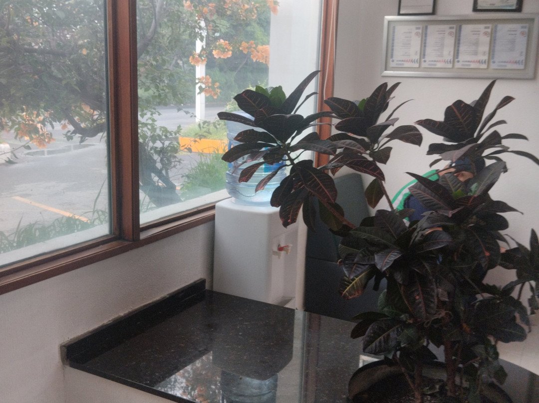 Mision Express Celaya主图