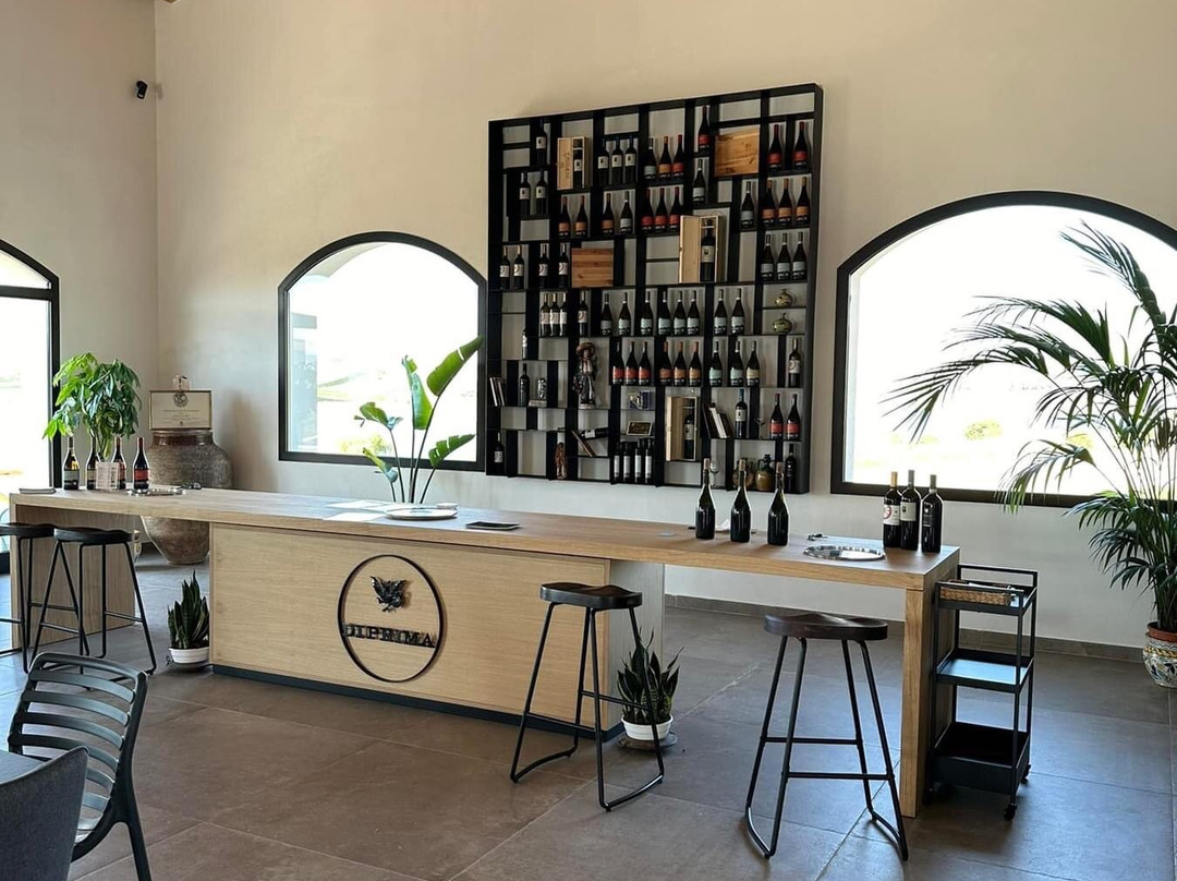 Cantina Di Prima景点图片