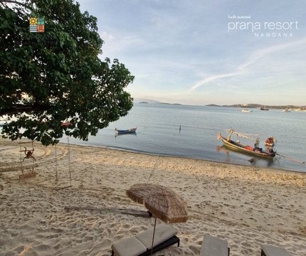 Thrx pi khā nā bīch khlạb xænd̒ bi s̄ thor