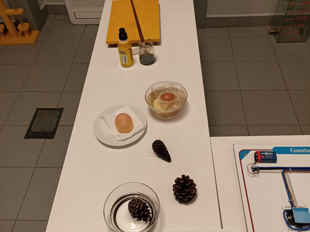 Museu Natural da Electricidade景点图片