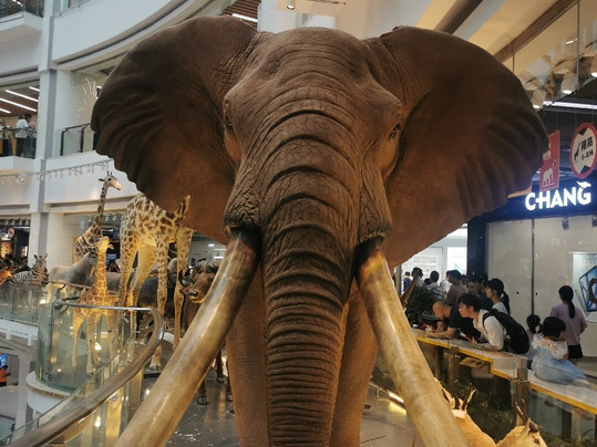 正佳广场-广州市必去景点