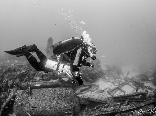 Poseidon Dive Center Portugal-塞新布拉必去景点