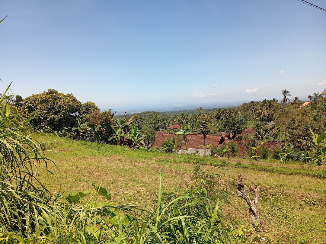 Javanese Vacation-Yogyakarta必去景点