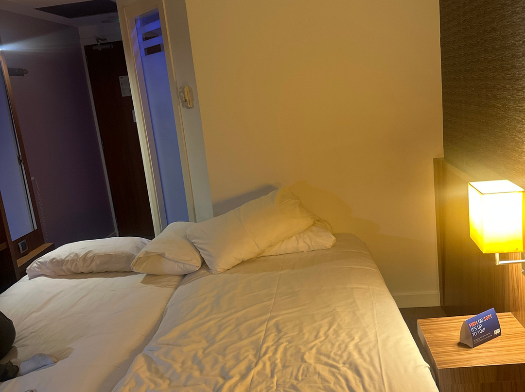 毕尔巴鄂快捷假日酒店主图