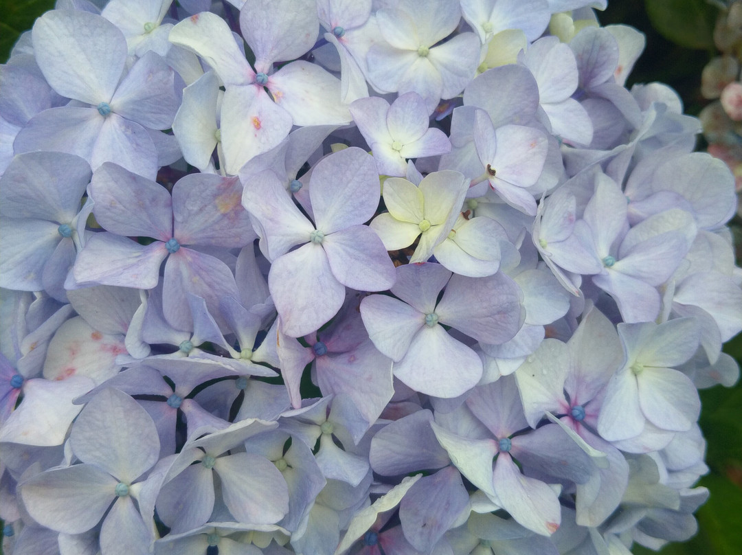 阿提克索拉乡村公寓酒店主图