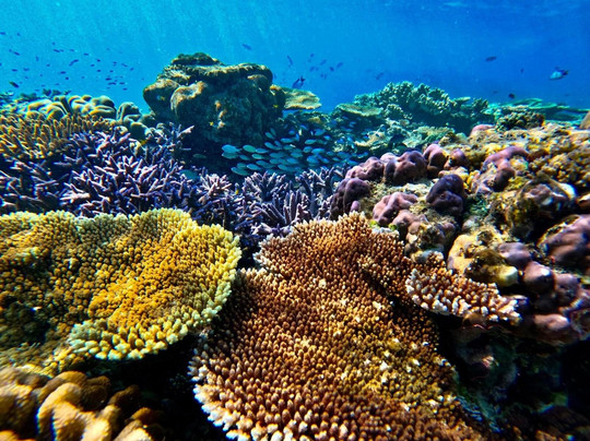 Aliikai Voyage-科莫多必去景点