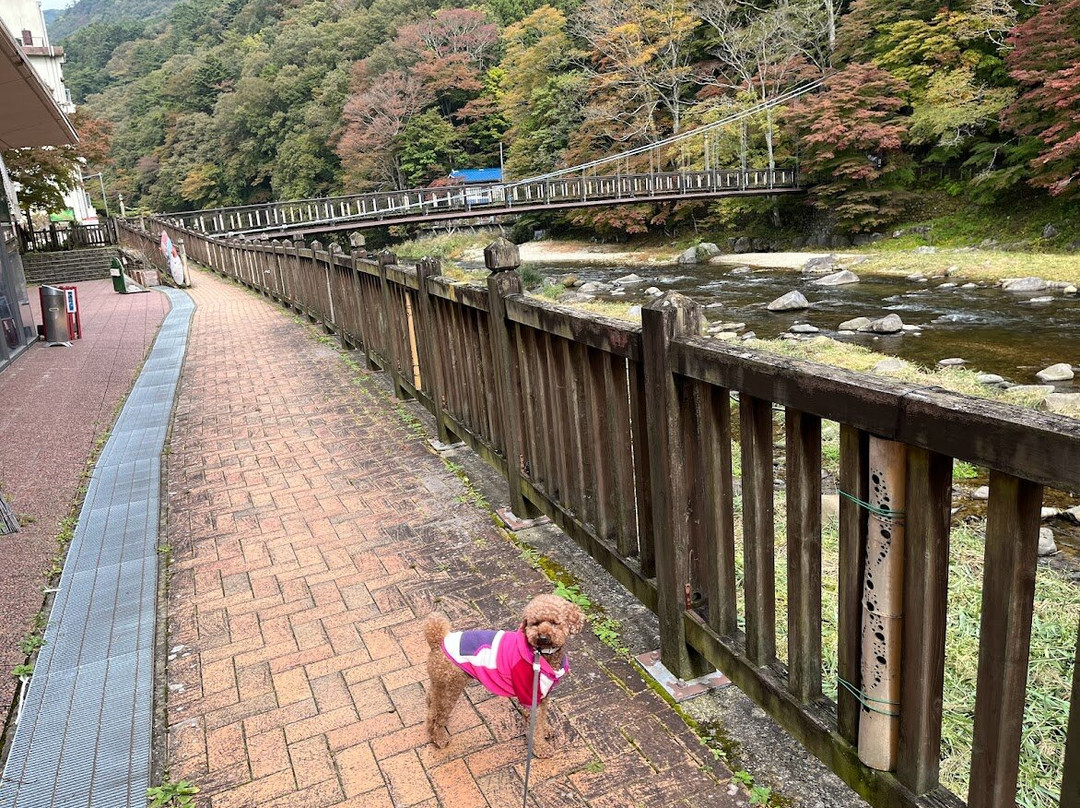 Kurenai Bridge-那须盐原市必去景点
