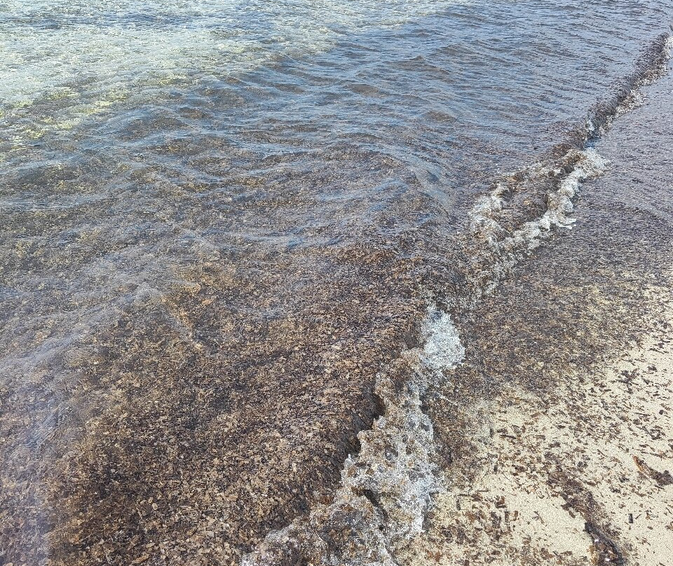 Spiaggia Grande-Calasetta必去景点