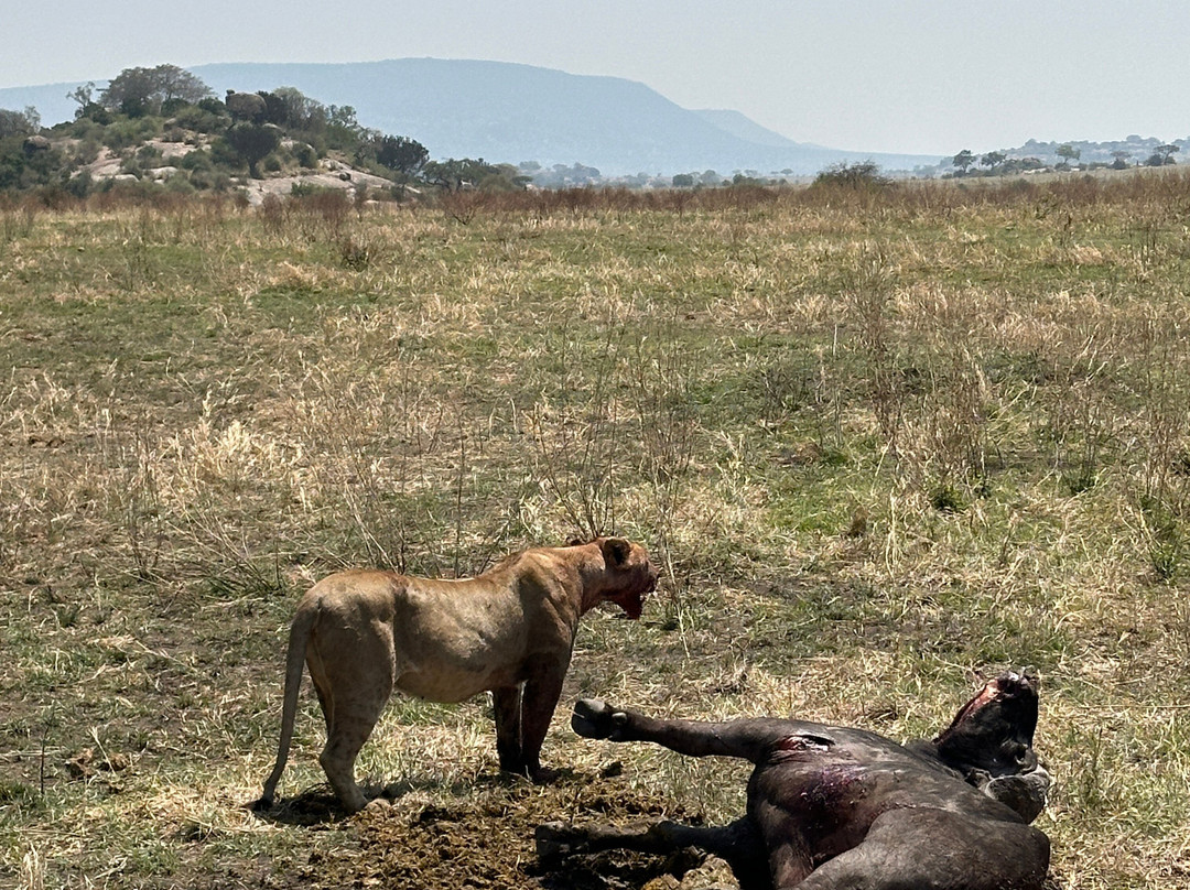 Tanzania Destination景点图片