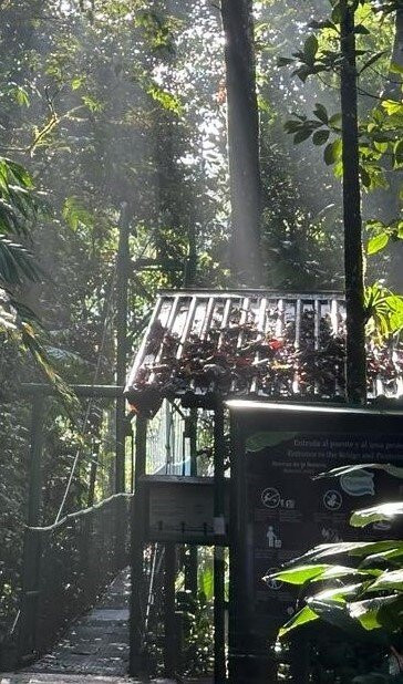 Tirimbina Rainforest Lodge主图