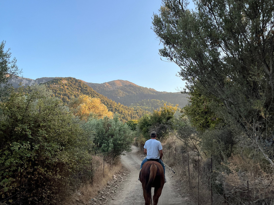 Paradise Ranch Kos Mountain Horse Riding-Asfendiou必去景点