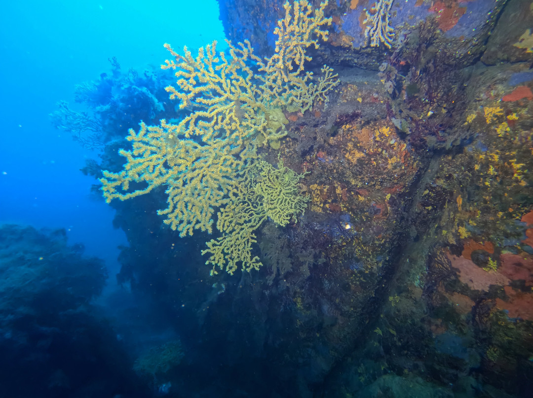 Orca Dive Club Sardinia-圣特雷莎加卢拉必去景点