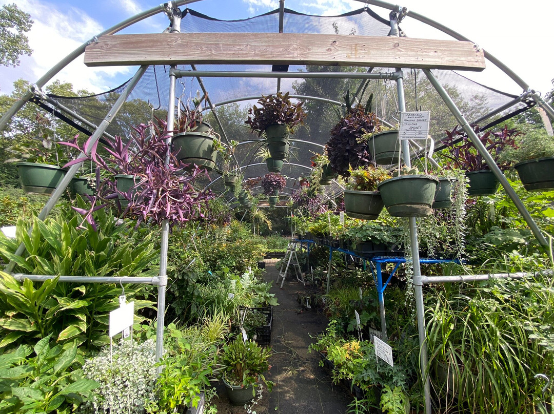 Kansas Plant Farm-劳伦斯必去景点