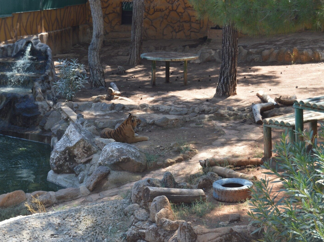 Gaziantep Zoo景点图片