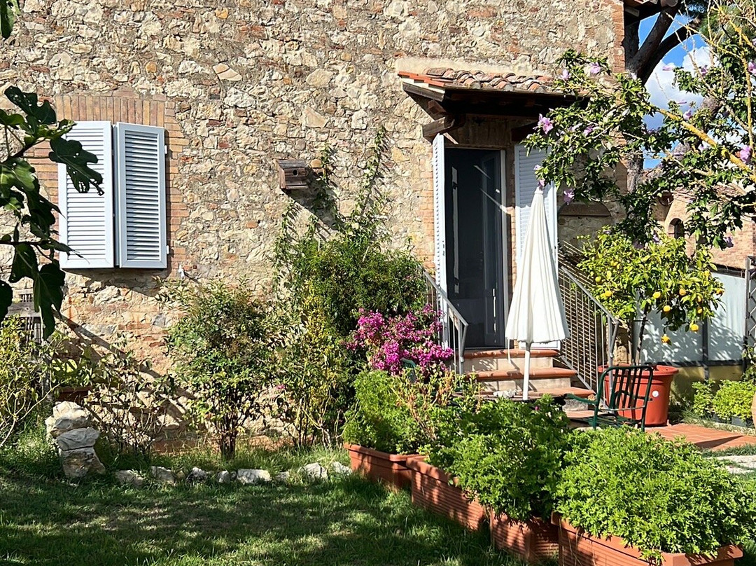 Podere San Quirico主图