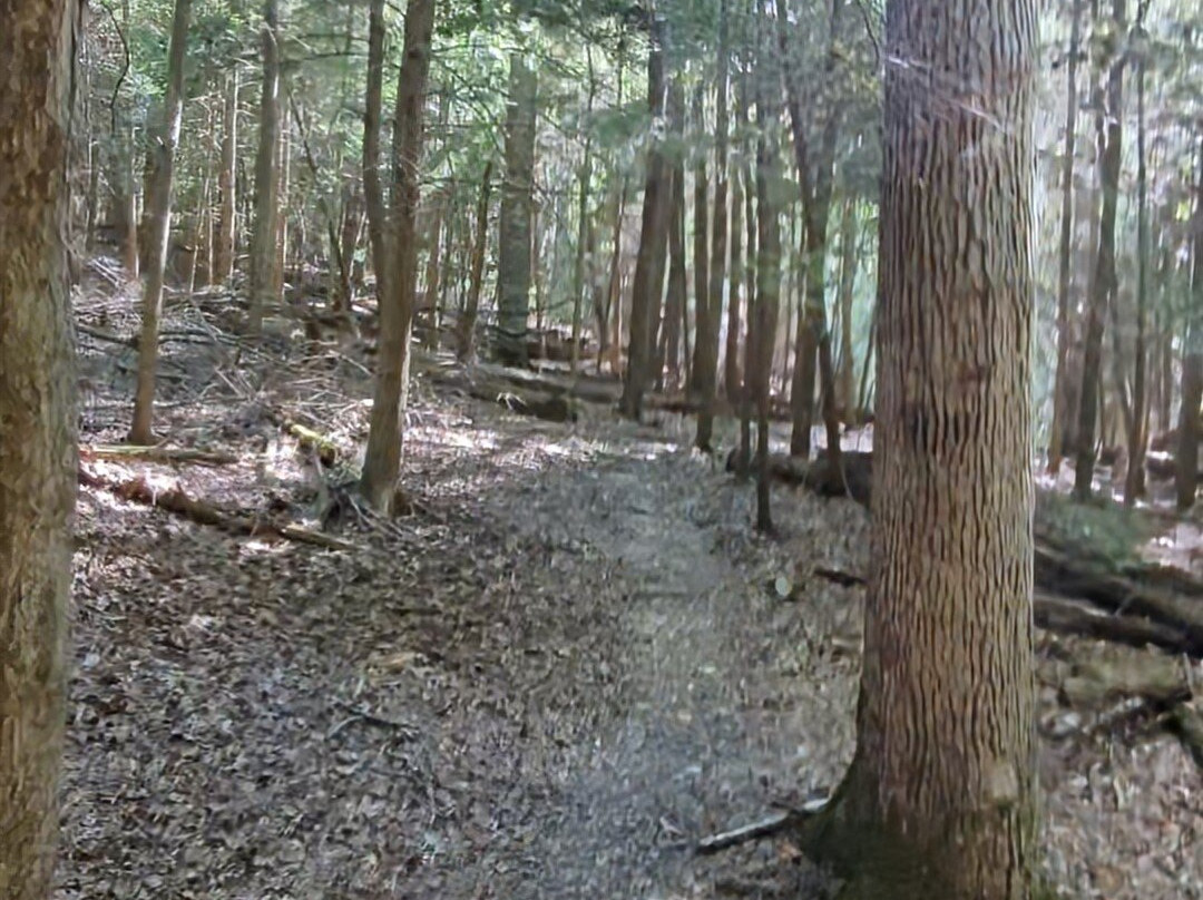 Clear Creek Metro Park-Rockbridge必去景点