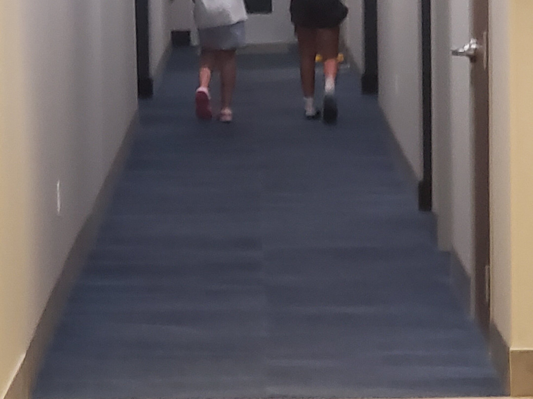 La Quinta Inn & Suites by Wyndham Bardstown主图