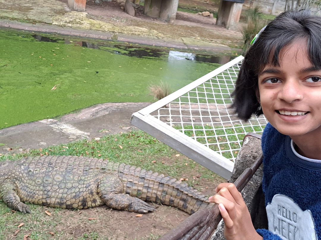 Riverbend Crocodile Farm-南帚必去景点