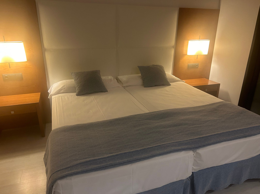 Protur Palmeras Playa Hotel主图