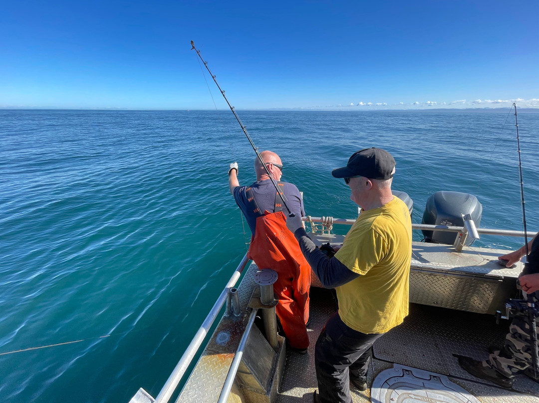 Alaska Kenai Adventures