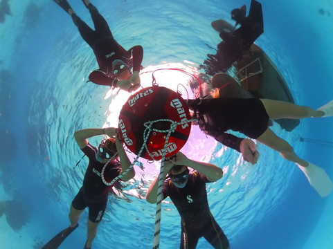 Tahiti Freediving-普纳奥亚必去景点