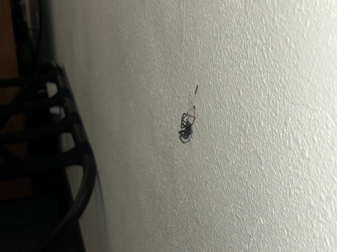 阿什兰德戴斯酒店主图