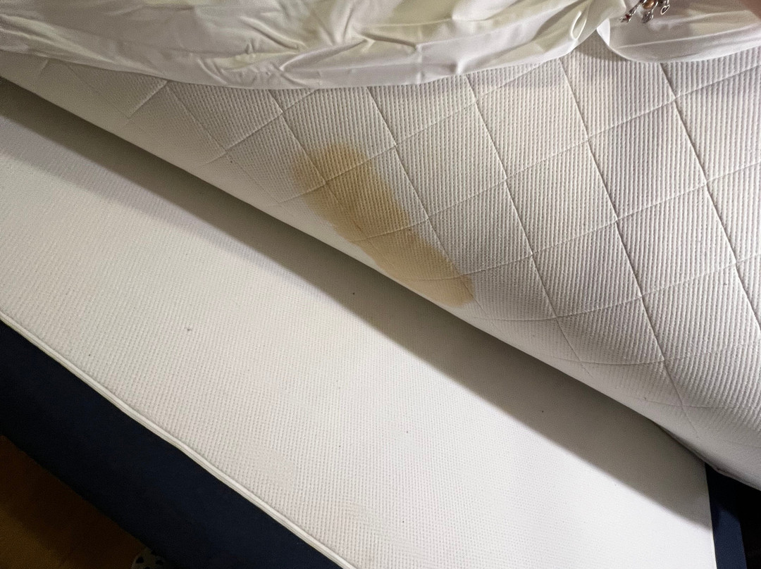 Pirita Beach Apartments & Spa主图