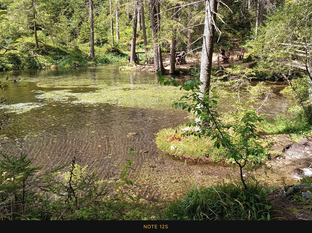Grüner See-Oberort必去景点