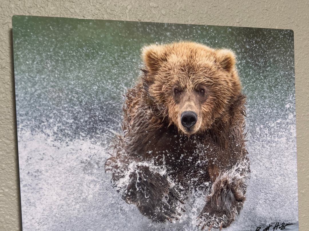 BearHead Photography Gallery-史凯威必去景点