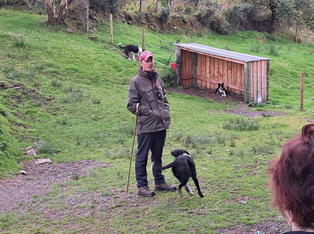 Kells Sheep Centre-Kells必去景点
